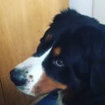 Lennerr Flickinger - @lennerrflickinger - Instagram