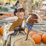 @glenntafriedman - Instagram