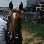 Glenn Geary - @horsewatch10 - Instagram
