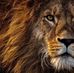 Glenn Guibert - Facebook
