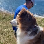 Glenn Gillis - @gillisglenn - Instagram