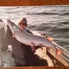 Glenn Gillis - @user204078803 - TikTok