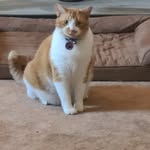 Glenn Gilson - @glennadamgilson - Instagram