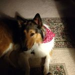 Glenn Gorzeman - @glenngorzeman - Instagram