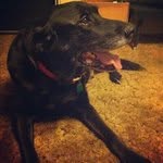 Glenn Gosnell - @glenngosnell - Instagram