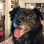 Glenn Gower - @glennlbca - Instagram