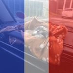 Glenn Grady - @glenngrady - Instagram