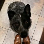 Glenn Griggs - @glenn.griggs.7 - Instagram
