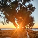 Glenn Griggs - @glenngriggsjr - Instagram