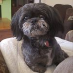 Glenn Grillo - @grilloglenn - Instagram