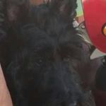 Glenn Grimes - @glenngrimes1950 - Instagram