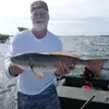 glenngrimes3 - @glenngrimes3 - TikTok