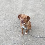 Isaac Glenn Gunnink - @isaacglenngunnink - Instagram