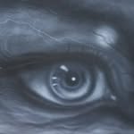 Glenn hackman - @atlanticartmurals - Instagram