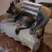 Glenn Hadley - Facebook