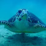 Glenn Haglund - @mairdhooky - Instagram