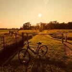 Glenn Cunningham - @glennham_ - Instagram