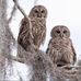 Glenn Ham - Facebook