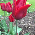 Glenn Hammer - Facebook