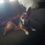Glenn Chandler - @glenn.chandler.9047 - Instagram