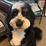 Glenn Handler - @ghandler - Instagram