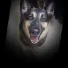 glennharding22 - @glennharding22 - TikTok