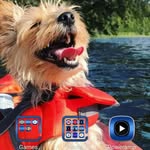 Glenn Harned - @happilyretired52 - Instagram