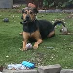 Harrell Glenn - @harrellglenn101 - Instagram