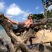 Glenn Hartley - Facebook