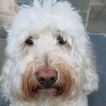 Glenn Hauser - @sit_andlisten - Instagram