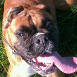 Glenn Haynes - @glenn_haynes - Instagram