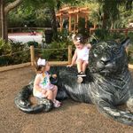 Donna Glenn Holley - @ladybrightofthevalley - Instagram