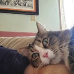 Glenn Horner - @mg_alchemist - Instagram
