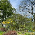 Field - @glennhowells_official - Instagram