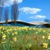 Glenn Howells Architects - Facebook