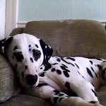 Glenn Hurley - @glenn.hurley.16 - Instagram