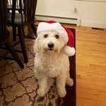Glenn Jefferson - @glenn.jefferson80 - Instagram