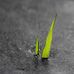 Glenn Kidd - Facebook