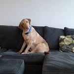 Glenn Kimmel - @kimmelglenn - Instagram