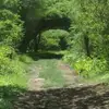 Glenn Kimmel - @glenn.kimmel - TikTok