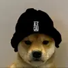 Glenn Kimmerle - @glennkimmerle_9895 - TikTok