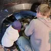 Glenn Kirchner - @glenn.kirchner - TikTok