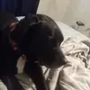Glenna Kiser - @glenna.kiser - TikTok