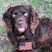 Glenn Knowles - Facebook