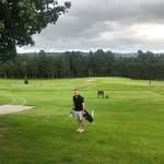 Glenn Knox - @gkll76 - Instagram