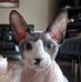 Glenn Kohler - Facebook