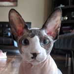 Glenn Kohler - @a1lockman - Instagram