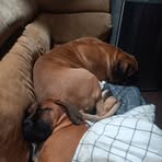 Glenn Lancaster - Facebook