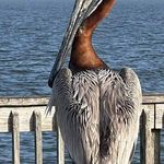 Glenn Langley - @glenn.langley.79 - Instagram