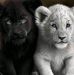 Glenn Law - Facebook